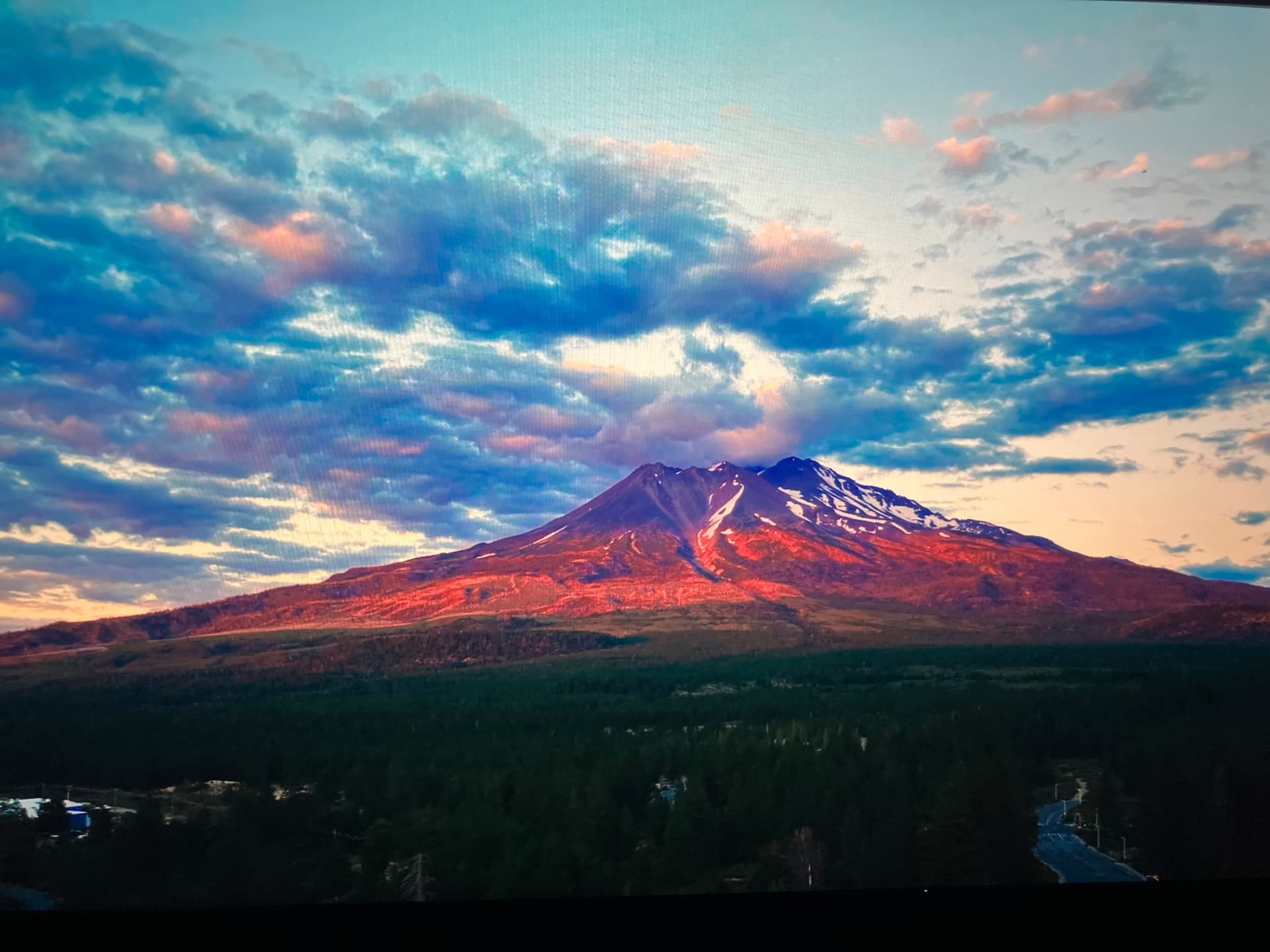 Mount Shasta glowing pink at sunset above the forest