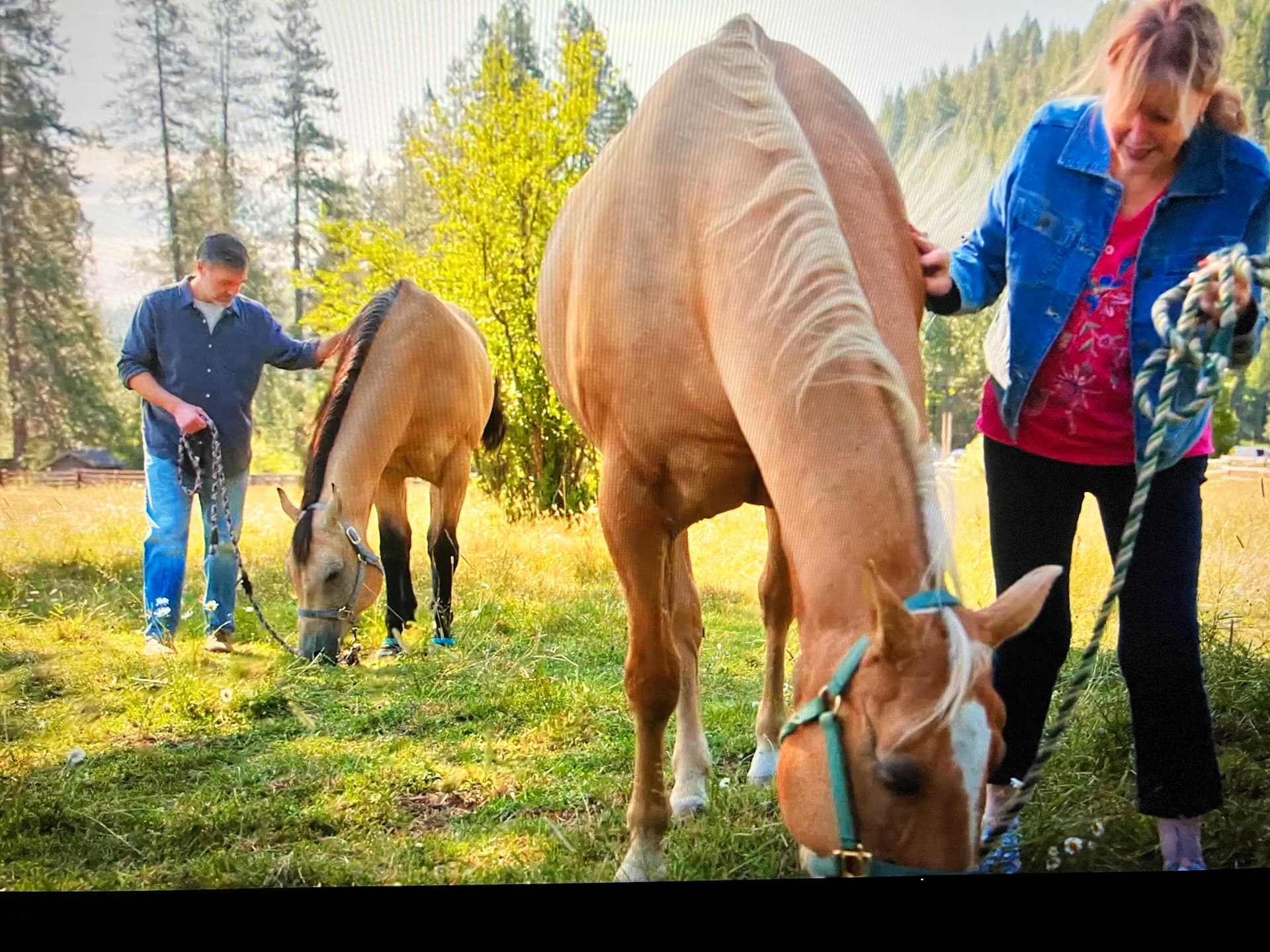 Will Forte and his mom each standing with a grazing horse