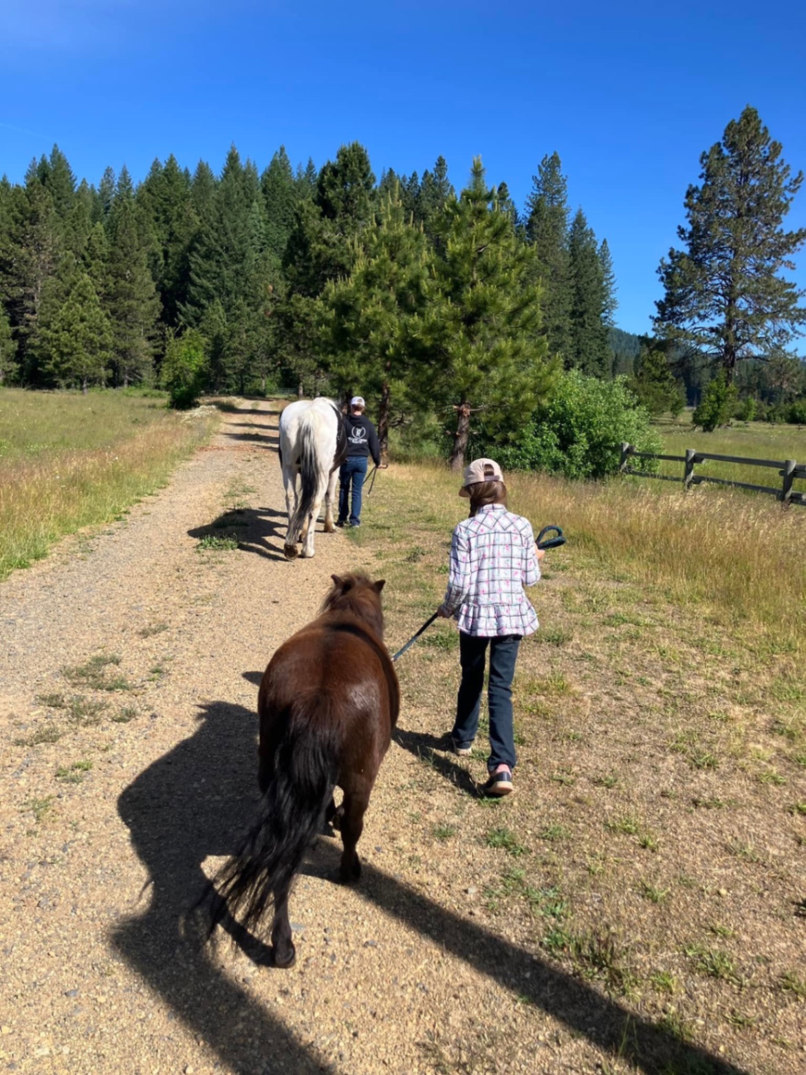 The road into Willow Creek Ranch