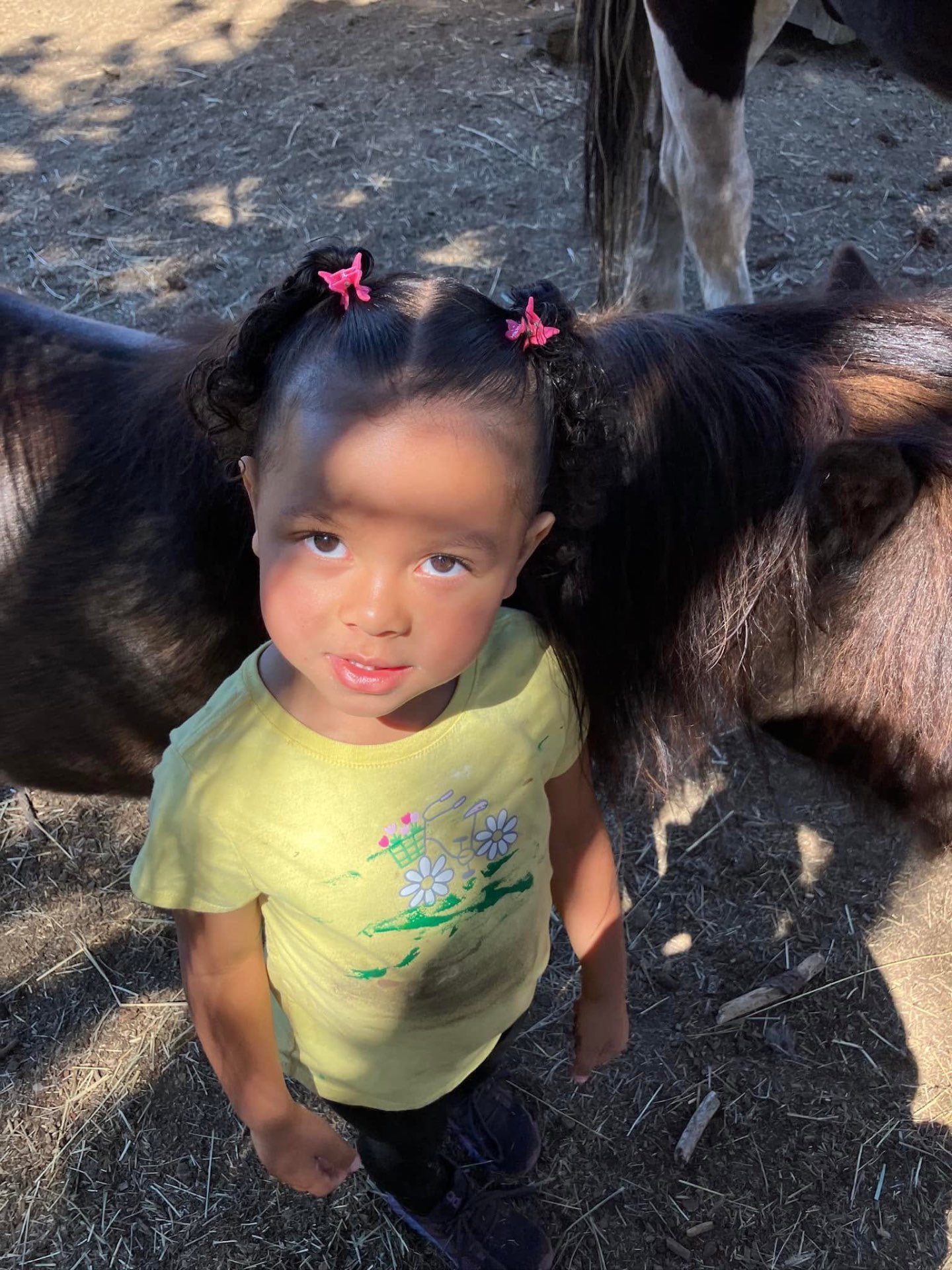 A young child smiling beside a mini horse