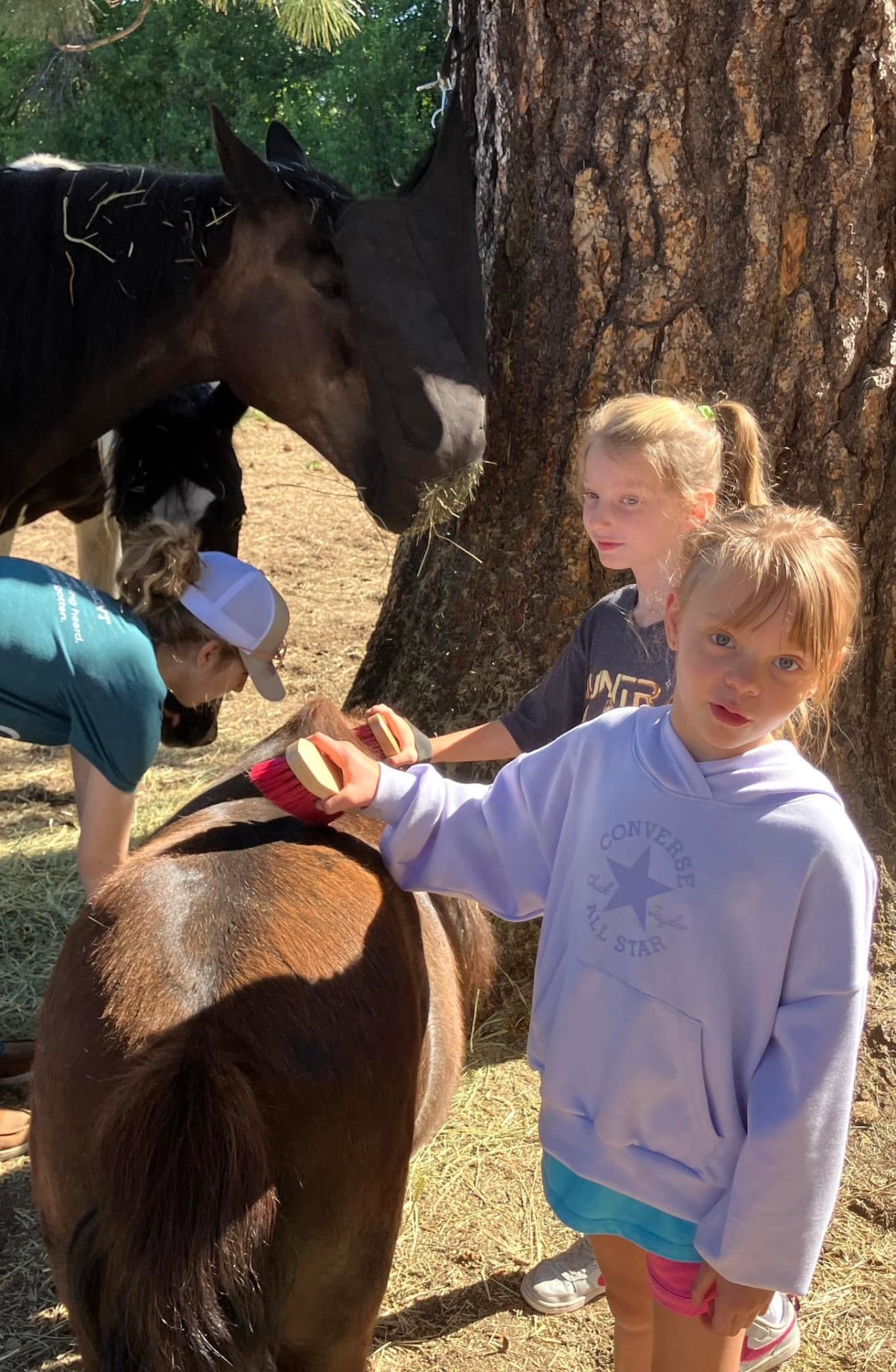 Children grooming a horse together