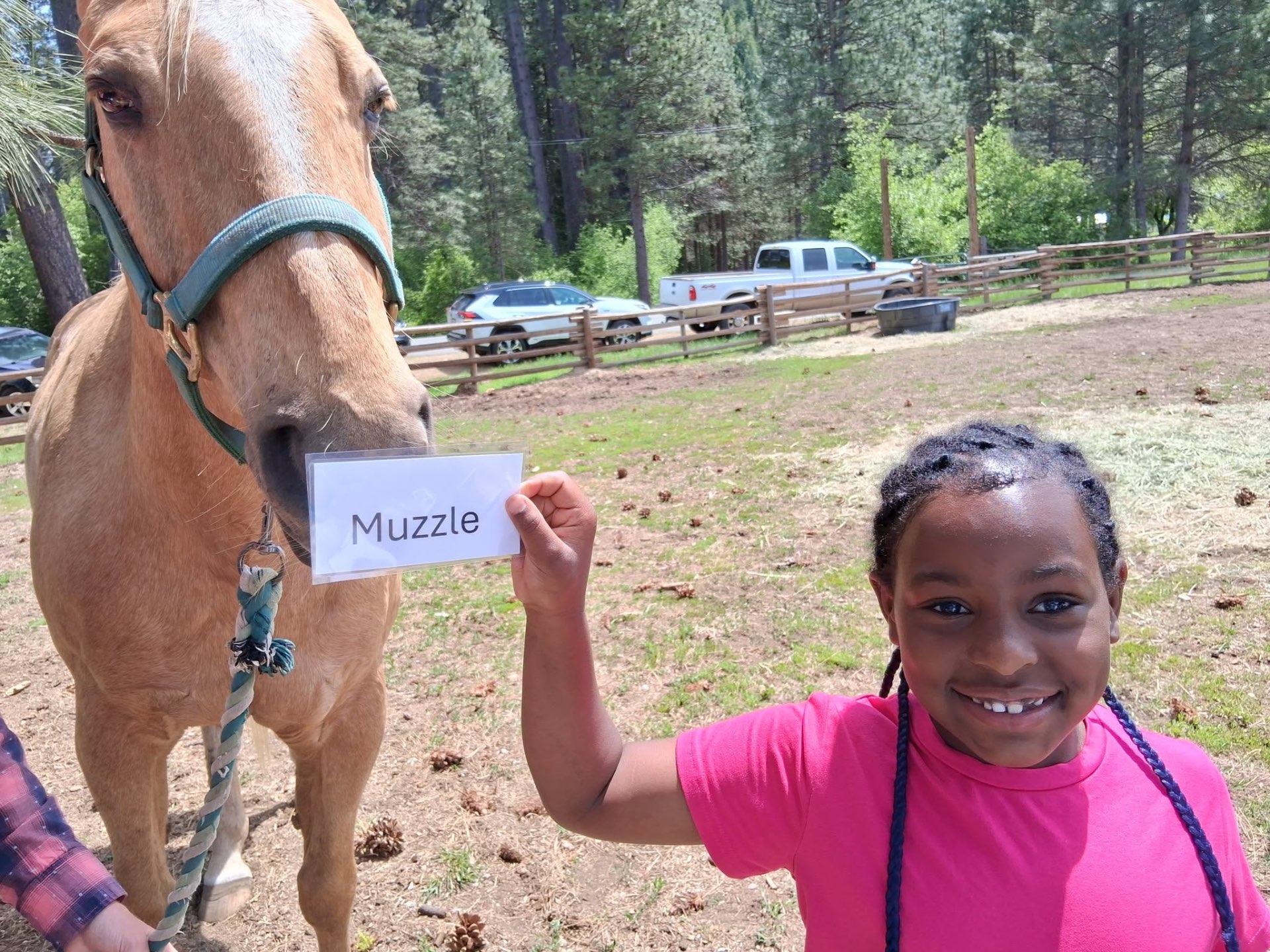A child holding a word card next to a horse