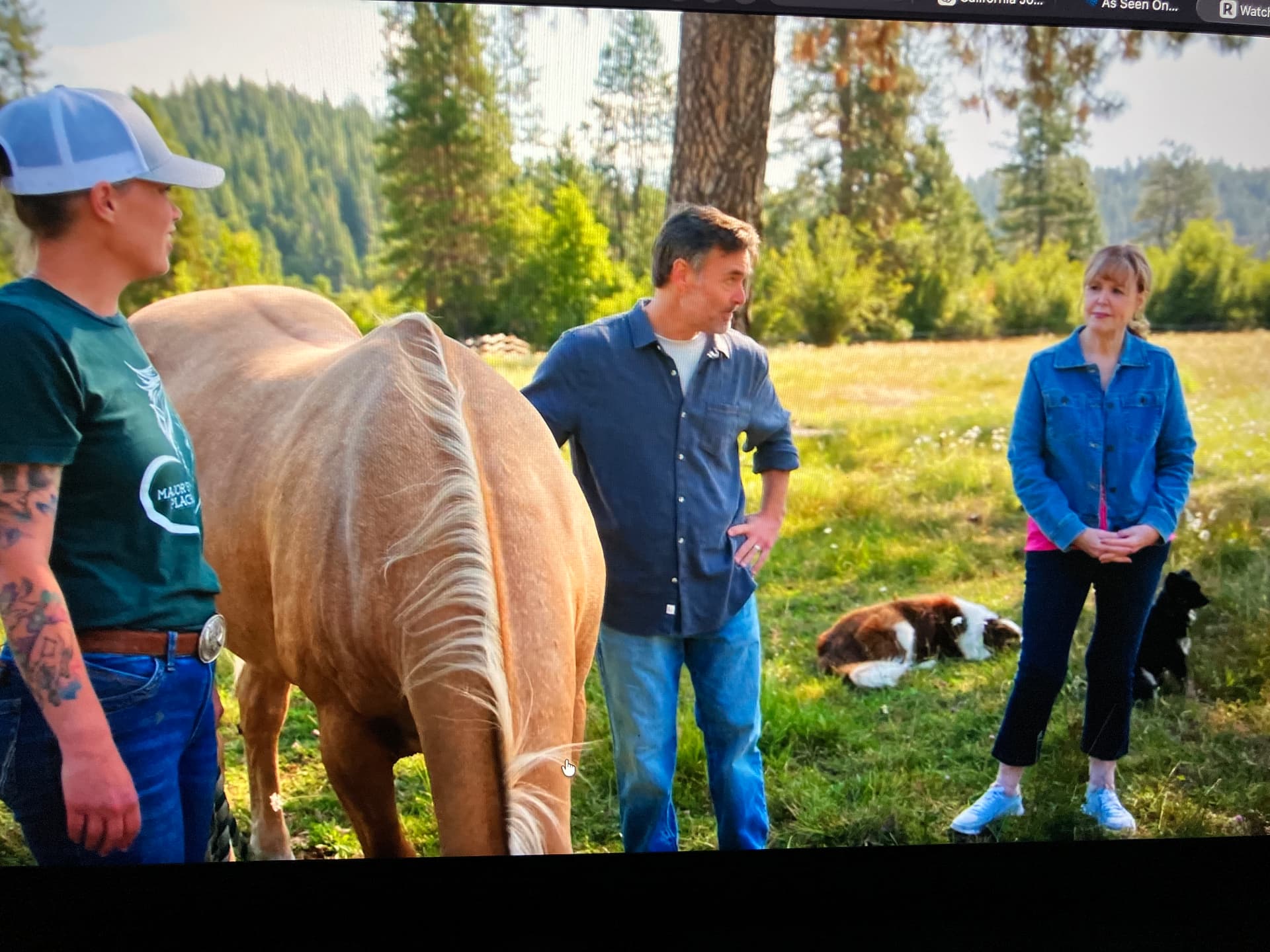 Anne-Marie with a palomino horse alongside Will Forte and his mom Patti in the pasture