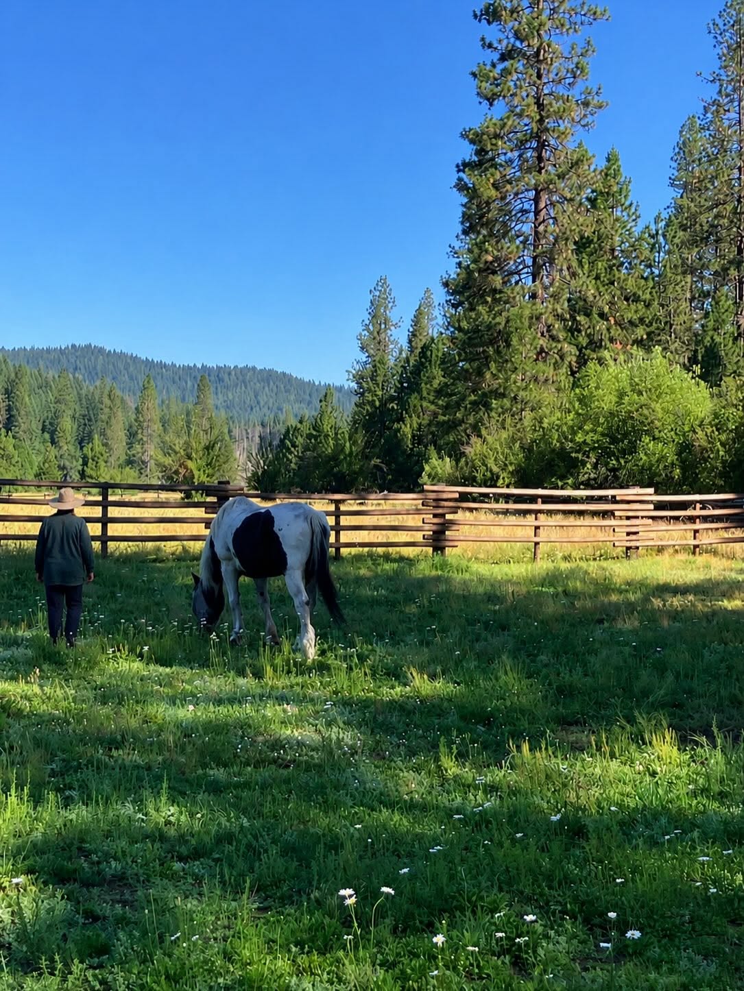 A session in progress at Willow Creek Ranch