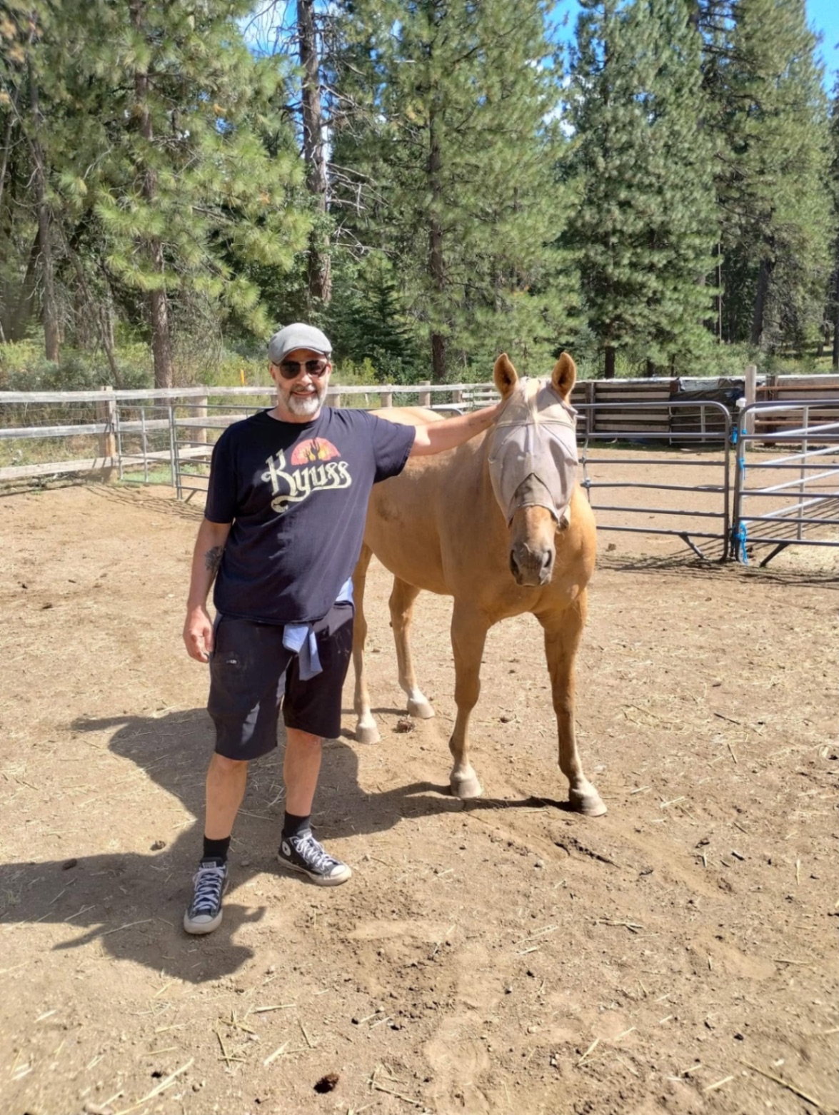 Clyde the palomino standing with a handler