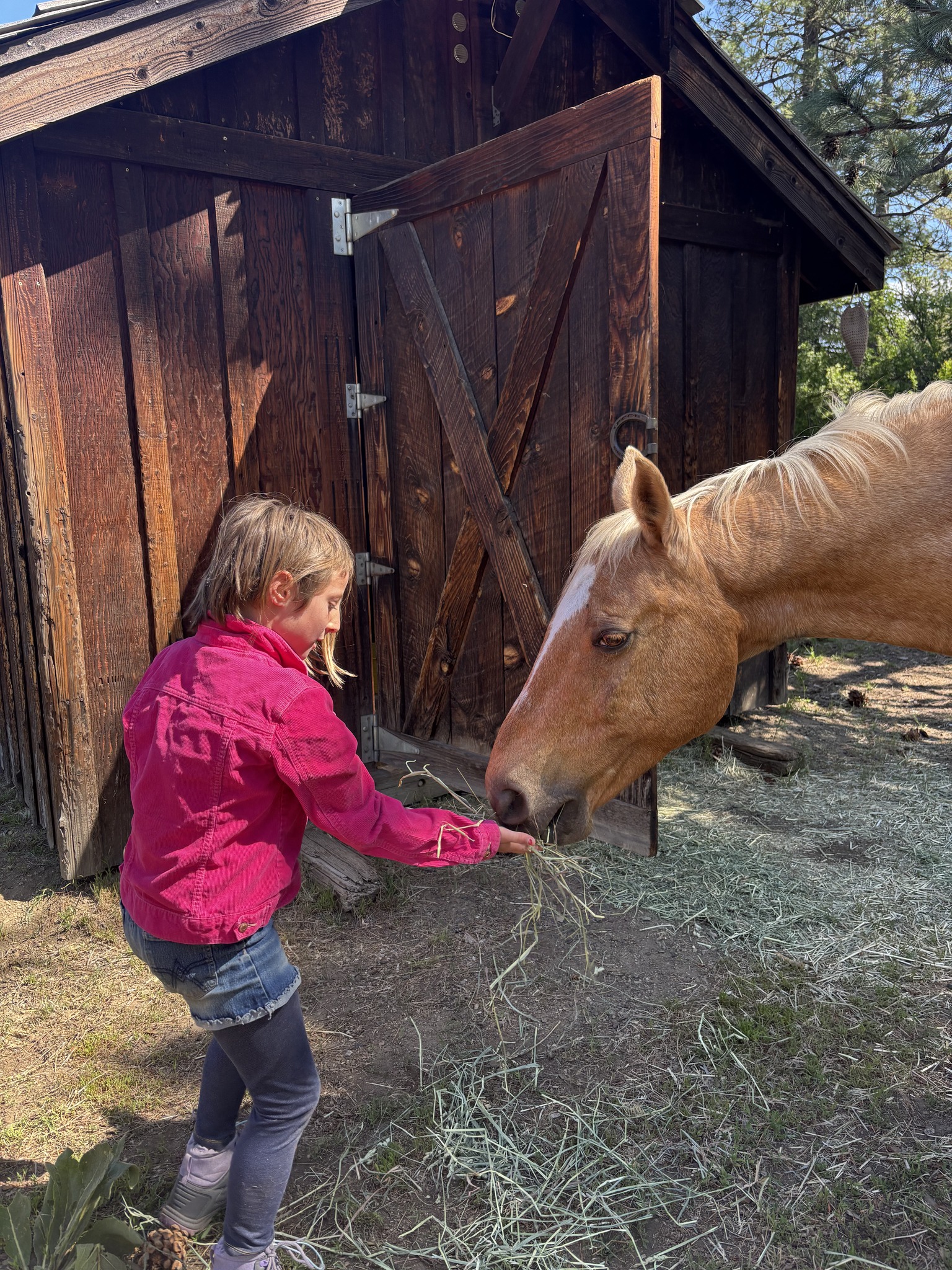 A young person standing with a horse