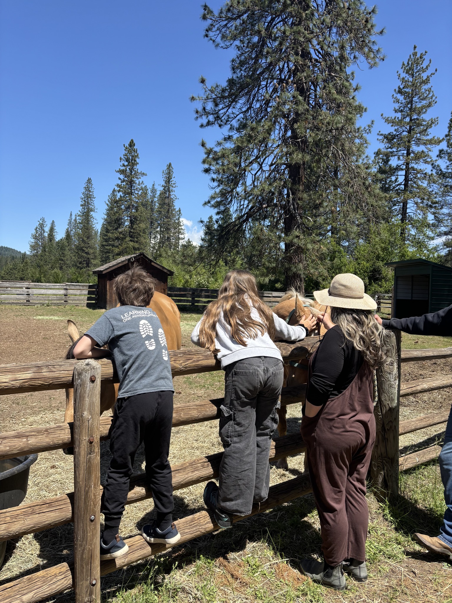 Families gathered together at the ranch