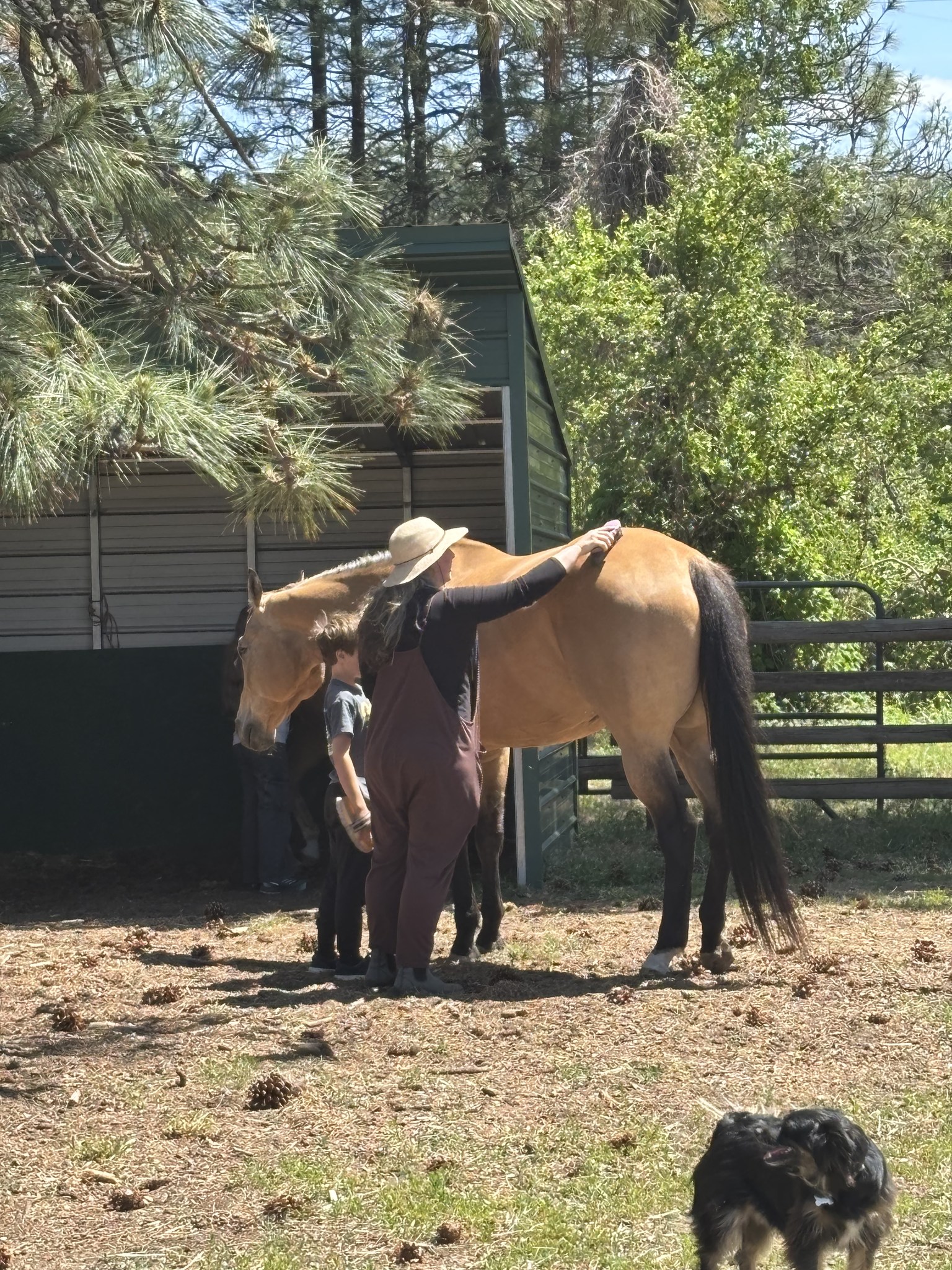 A girl with flowers beside the horses