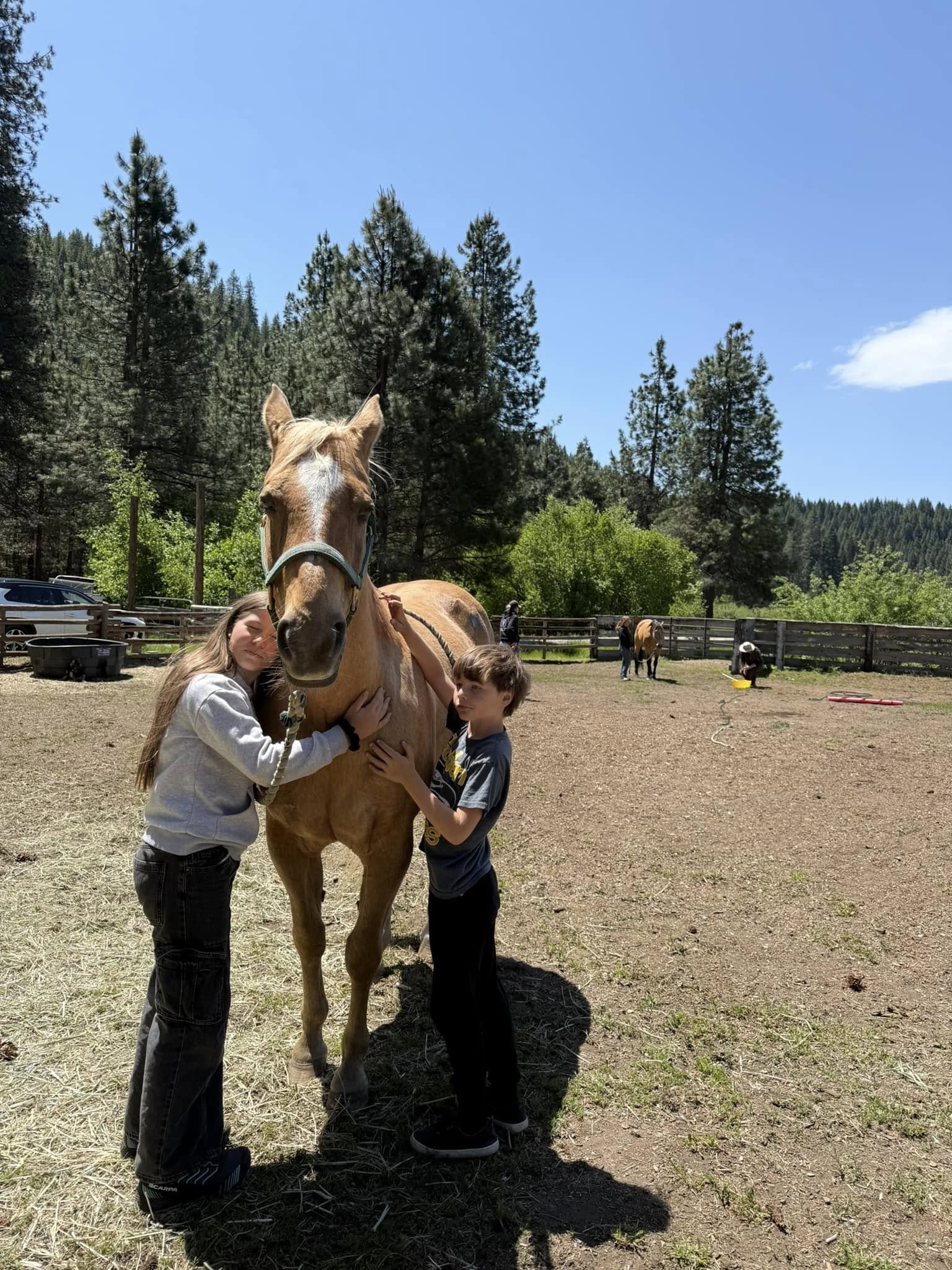 Therapeutic Horsemanship